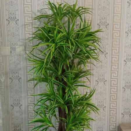 1 * Варна